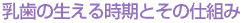 �����̐����鎞���Ƃ��̎d�g��