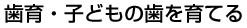 ����E�q�ǂ��̎�����Ă�-babycom