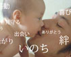 babycom15���N