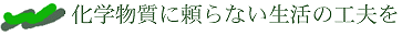 ���w�����ɗ���Ȃ�����