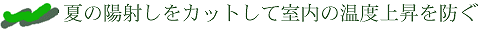 �z�˂����J�b�g���Ď������x�㏸��h��