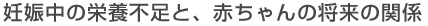 �D�P���̉h�{�s���ƁA�Ԃ����̏����̊֌W