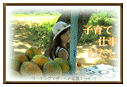 �q��ĂƎd��
