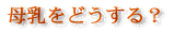 ������ǂ�����H
