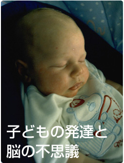 子どもの発達と脳の不思議-babycom