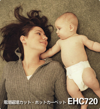 電場磁場カット・ホットカーペット　EHC720