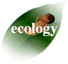 妊娠と子育ての環境問題-babycom子ども、子育てと環境問題の関わり