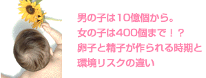 卵子と精子ができる時期