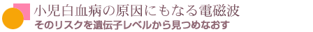 ＷＨＯの電磁波プロジェクトでは何を話し合っているの