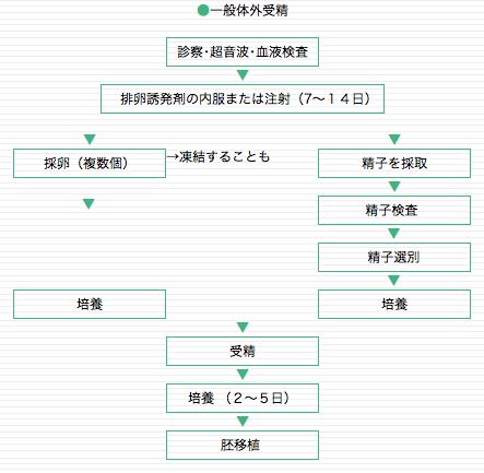 一般体外受精-babycom-