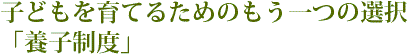 子どもを育てるためのもう一つの選択--養子制度