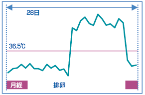 基礎体温表-babycom