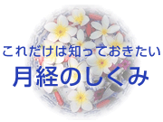 妊活その1-1.これだけは知っておきたい、月経のしくみ