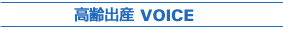 лVOICE